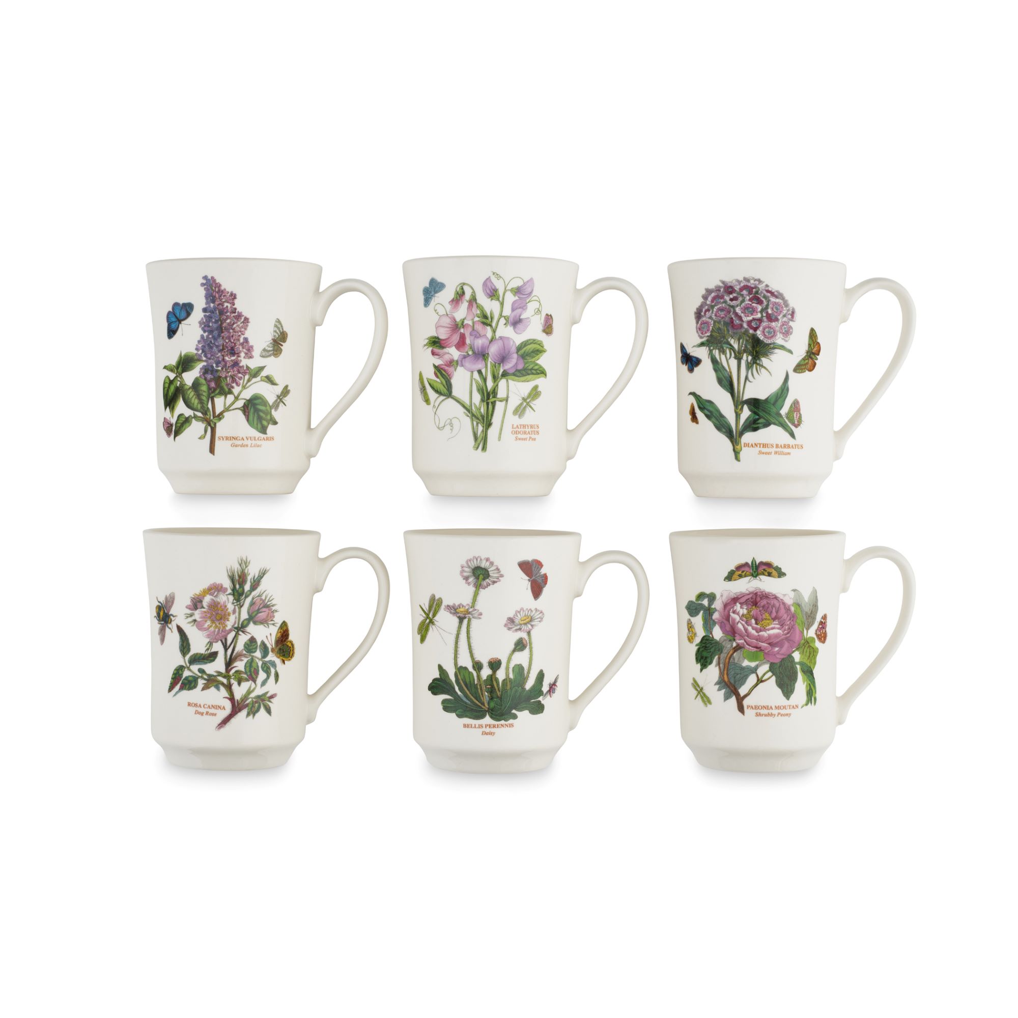 Botanic Garden Set of 6 Flared Tankard Mugs image number null